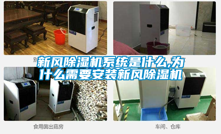 新风茄子视频懂你更多在线观看系统是什么,为什么需要安装新风茄子视频懂你更多在线观看