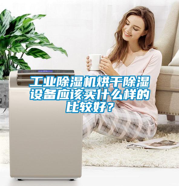 工业茄子视频懂你更多在线观看烘干除湿设备应该买什么样的比较好？