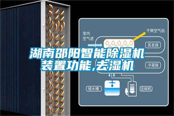 湖南邵阳智能茄子视频懂你更多在线观看装置功能,去湿机