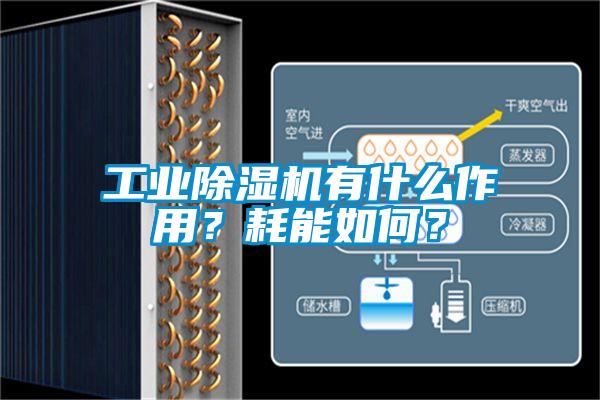 工业茄子视频懂你更多在线观看有什么作用？耗能如何？