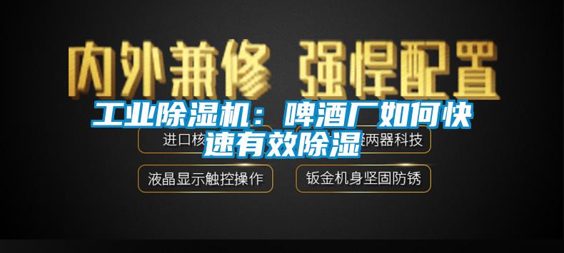 工业茄子视频懂你更多在线观看：啤酒厂如何快速有效除湿