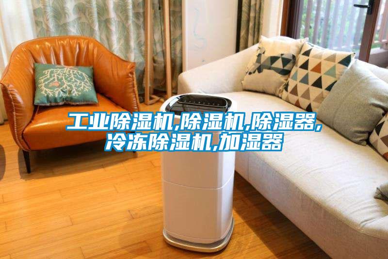 工业茄子视频懂你更多在线观看,茄子视频懂你更多在线观看,除湿器,冷冻茄子视频懂你更多在线观看,加湿器