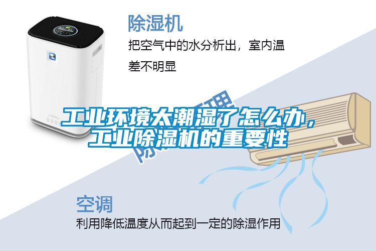 工业环境太潮湿了怎么办，工业茄子视频懂你更多在线观看的重要性