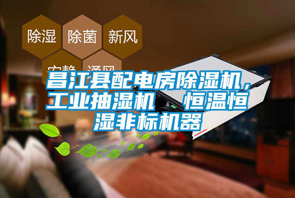 昌江县配电房茄子视频懂你更多在线观看，工业抽湿机  恒温恒湿非标机器