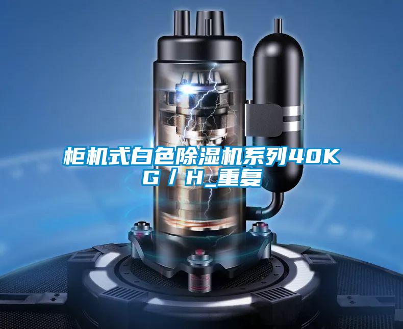 柜机式白色茄子视频懂你更多在线观看系列40KG／H_重复