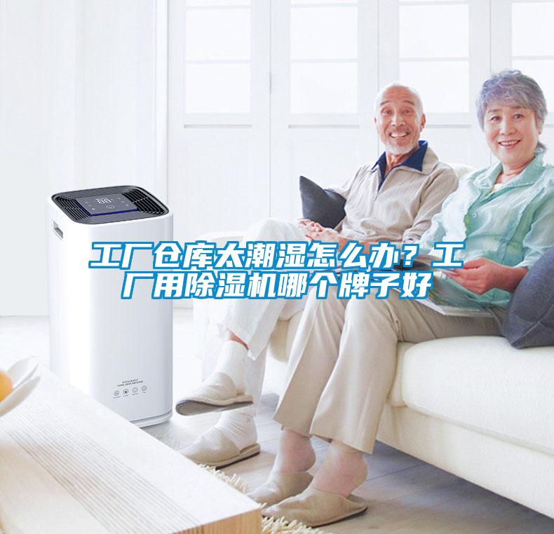 工厂仓库太潮湿怎么办？工厂用茄子视频懂你更多在线观看哪个牌子好