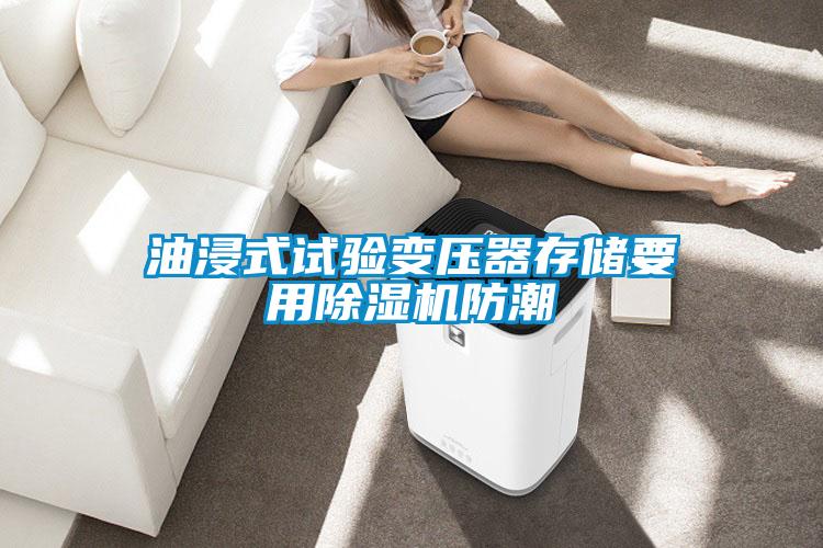 油浸式试验变压器存储要用茄子视频懂你更多在线观看防潮