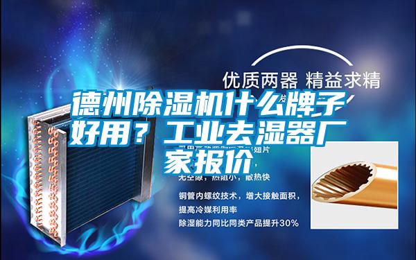 德州茄子视频懂你更多在线观看什么牌子好用？工业去湿器厂家报价