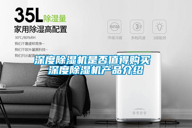 深度茄子视频懂你更多在线观看是否值得购买 深度茄子视频懂你更多在线观看产品介绍