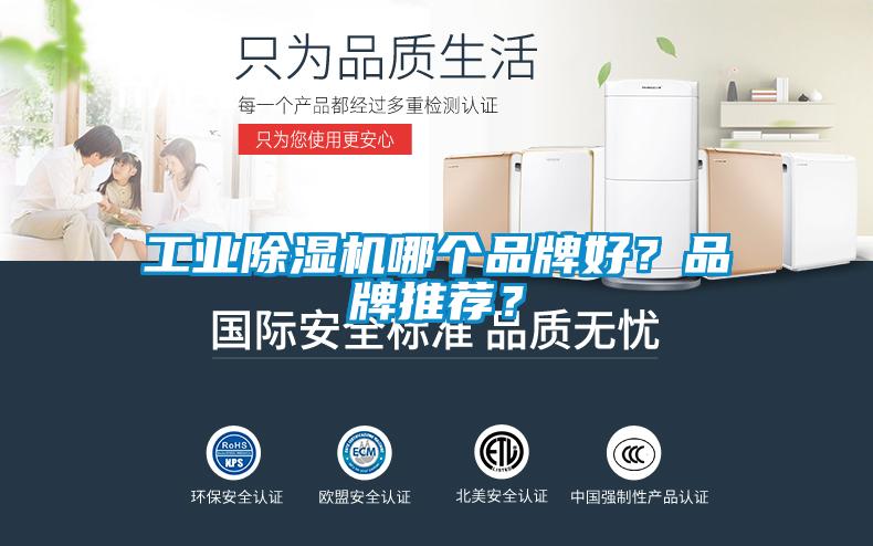 工业茄子视频懂你更多在线观看哪个品牌好？品牌推荐？