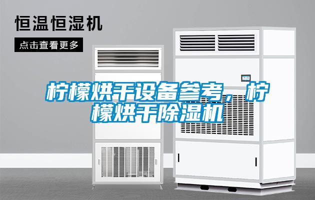 柠檬烘干设备参考，柠檬烘干茄子视频懂你更多在线观看