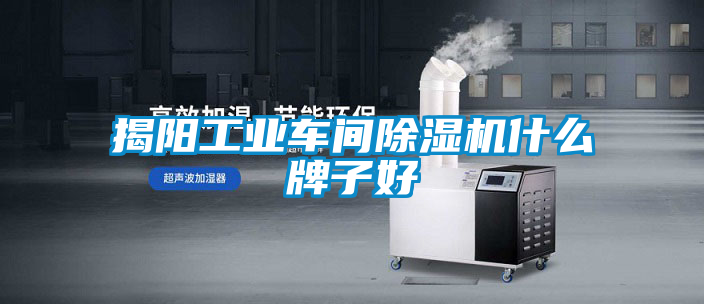揭阳工业车间茄子视频懂你更多在线观看什么牌子好