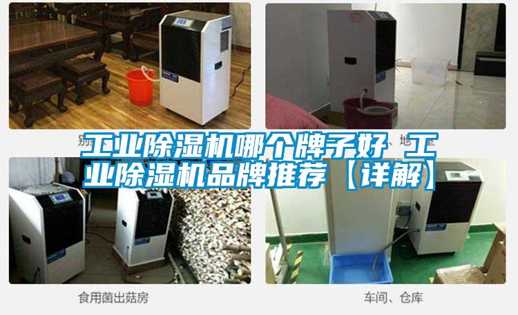 工业茄子视频懂你更多在线观看哪个牌子好 工业茄子视频懂你更多在线观看品牌推荐【详解】