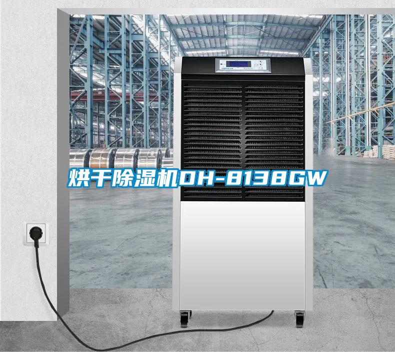 烘干茄子视频懂你更多在线观看DH-8138GW