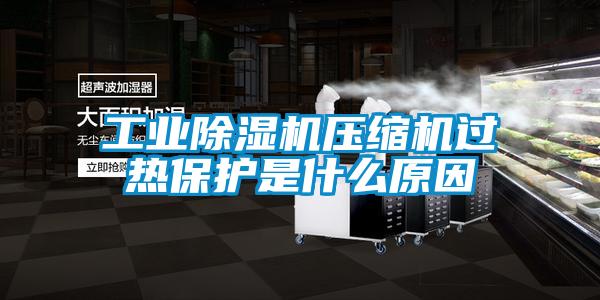 工业茄子视频懂你更多在线观看压缩机过热保护是什么原因