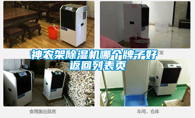 神农架茄子视频懂你更多在线观看哪个牌子好 返回列表页