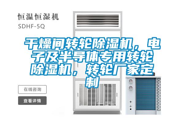 干燥间转轮茄子视频懂你更多在线观看，电子及半导体专用转轮茄子视频懂你更多在线观看，转轮厂家定制