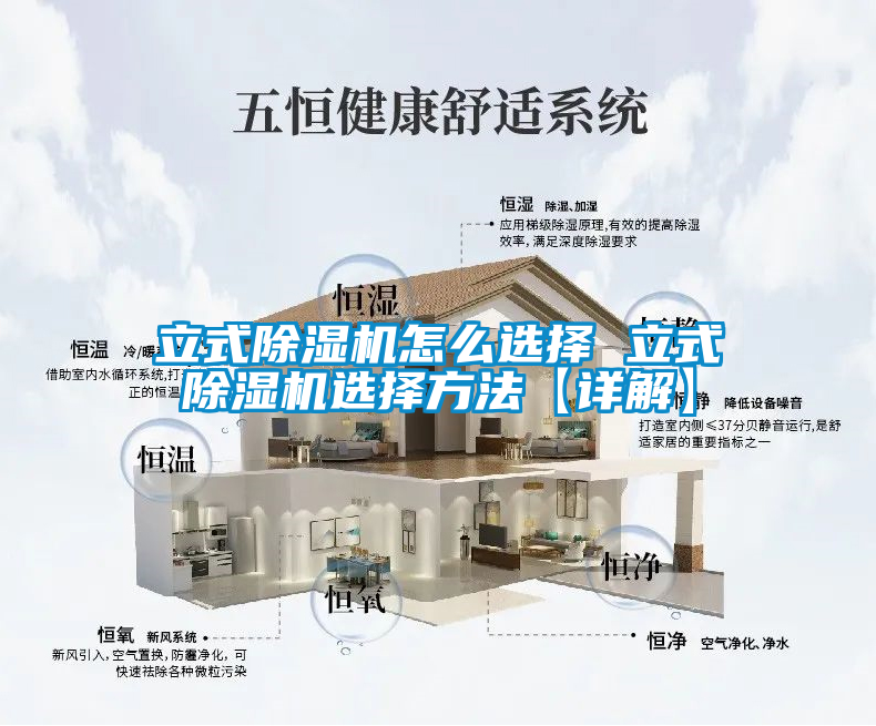 立式茄子视频懂你更多在线观看怎么选择 立式茄子视频懂你更多在线观看选择方法【详解】