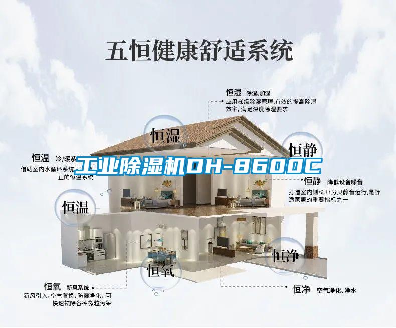 工业茄子视频懂你更多在线观看DH-8600C