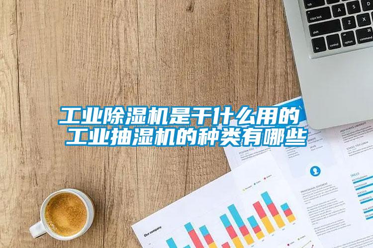 工业茄子视频懂你更多在线观看是干什么用的 工业抽湿机的种类有哪些