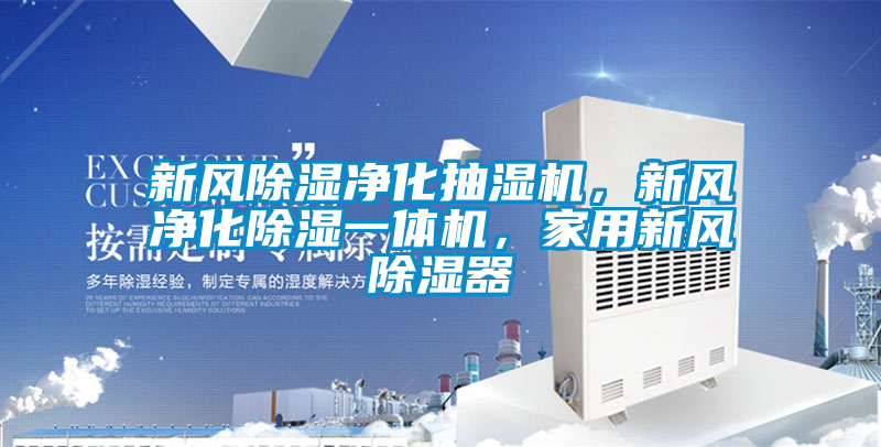 新风除湿净化抽湿机，新风净化除湿一体机，家用新风除湿器