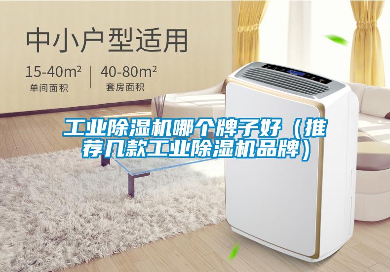 工业茄子视频懂你更多在线观看哪个牌子好（推荐几款工业茄子视频懂你更多在线观看品牌）