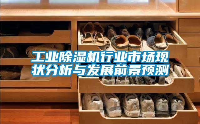 工业茄子视频懂你更多在线观看行业市场现状分析与发展前景预测