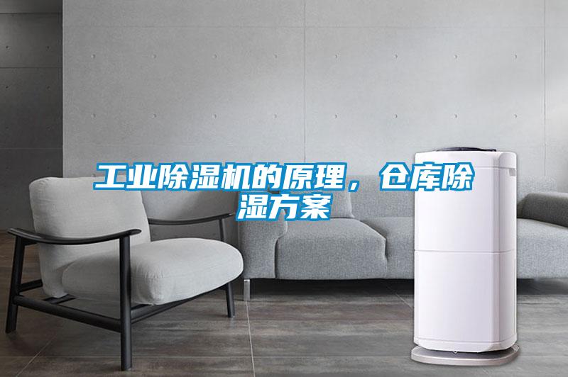 工业茄子视频懂你更多在线观看的原理，仓库除湿方案