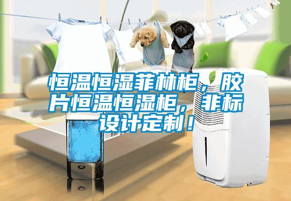恒温恒湿菲林柜，胶片恒温恒湿柜，非标设计定制！