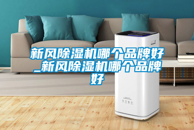 新风茄子视频懂你更多在线观看哪个品牌好_新风茄子视频懂你更多在线观看哪个品牌好