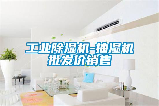 工业茄子视频懂你更多在线观看-抽湿机批发价销售