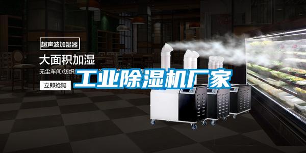 工业茄子视频懂你更多在线观看厂家
