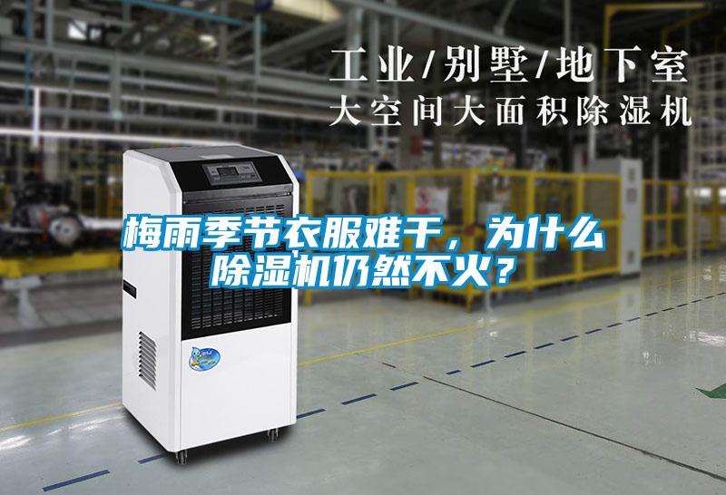 梅雨季节衣服难干，为什么茄子视频懂你更多在线观看仍然不火？