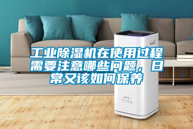 工业茄子视频懂你更多在线观看在使用过程需要注意哪些问题，日常又该如何保养