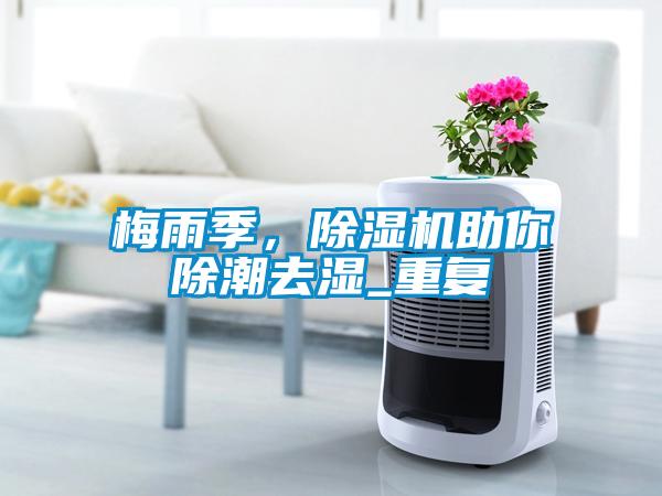梅雨季，茄子视频懂你更多在线观看助你除潮去湿_重复