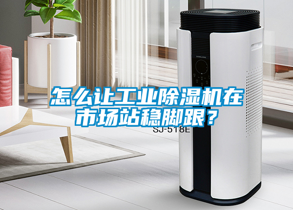 怎么让工业茄子视频懂你更多在线观看在市场站稳脚跟？