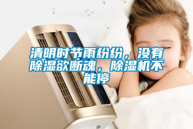 清明时节雨纷纷，没有除湿欲断魂，茄子视频懂你更多在线观看不能停