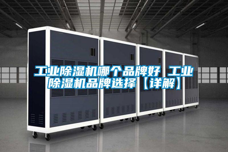 工业茄子视频懂你更多在线观看哪个品牌好 工业茄子视频懂你更多在线观看品牌选择【详解】