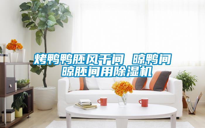 烤鸭鸭胚风干间 晾鸭间 晾胚间用茄子视频懂你更多在线观看