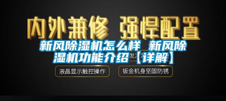 新风茄子视频懂你更多在线观看怎么样 新风茄子视频懂你更多在线观看功能介绍【详解】