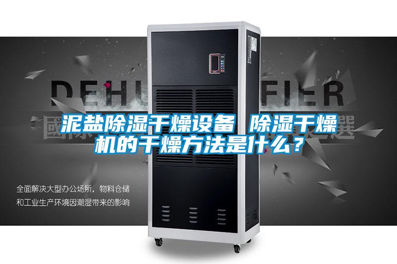 泥盐除湿干燥设备 除湿干燥机的干燥方法是什么？