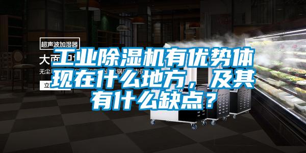 工业茄子视频懂你更多在线观看有优势体现在什么地方，及其有什么缺点？