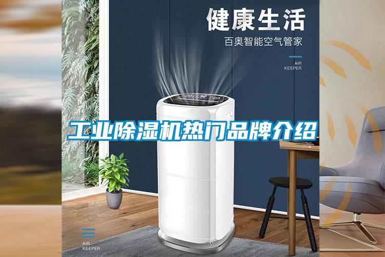 工业茄子视频懂你更多在线观看热门品牌介绍