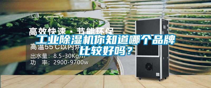 工业茄子视频懂你更多在线观看你知道哪个品牌比较好吗？