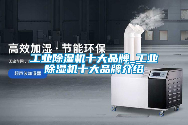 工业茄子视频懂你更多在线观看十大品牌_工业茄子视频懂你更多在线观看十大品牌介绍