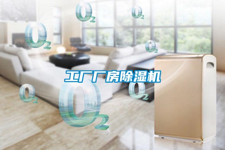 工厂厂房茄子视频懂你更多在线观看