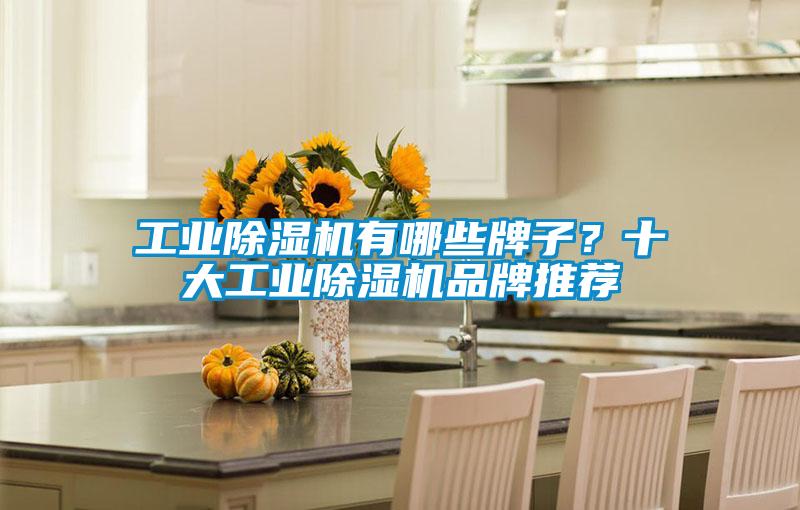 工业茄子视频懂你更多在线观看有哪些牌子？十大工业茄子视频懂你更多在线观看品牌推荐