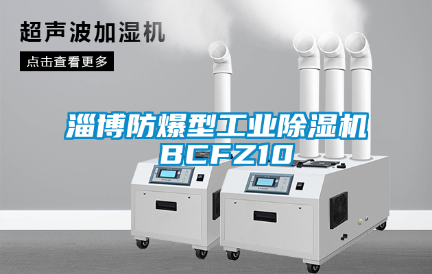淄博防爆型工业茄子视频懂你更多在线观看 BCFZ10