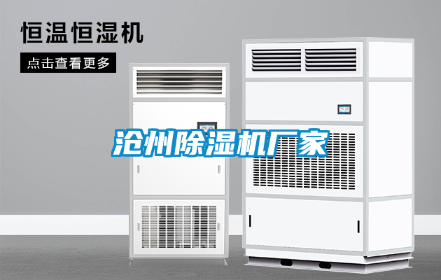 沧州茄子视频懂你更多在线观看厂家