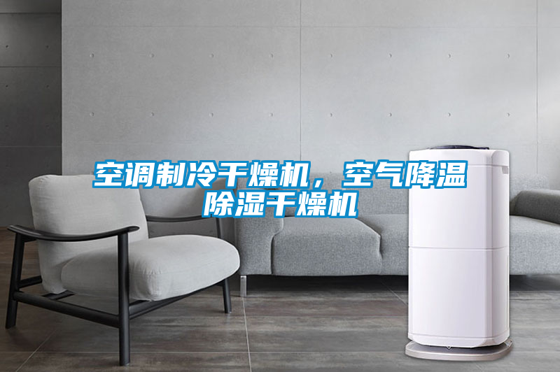 空调制冷干燥机，空气降温除湿干燥机
